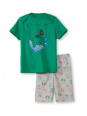 Pyjama Calida Toddlers Puppy Short Pyjama Enfant Vert | LN4963175