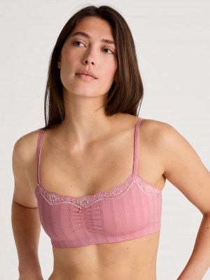 Sous Vêtement Calida Etude Toujours Bustier Femme Fleur | GL7821305
