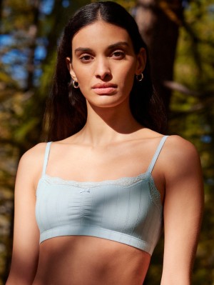 Sous Vêtement Calida Etude Toujours Bustier Femme Arctic Ice | XW0427536