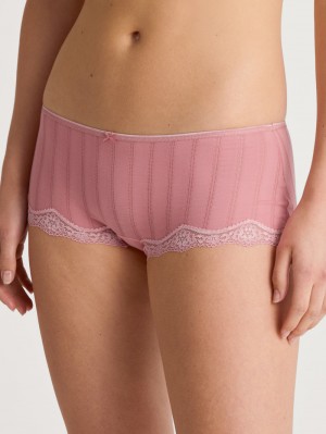 Sous Vêtement Calida Etude Toujours Panty, Low Cut Femme Fleur | VQ5348970