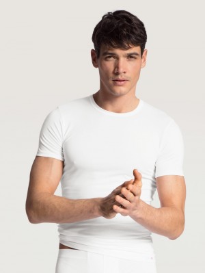 Sous Vêtement Calida Evolution T-shirt Homme Weiss | WM0753461