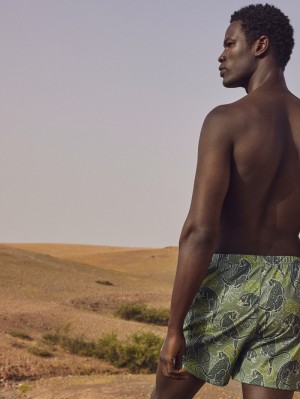 Sous Vêtement Calida Prints Boxer Shorts Homme Vert | YW6152047