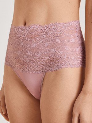 Sous Vêtement Calida Special Brief With Lace, High Waist Femme Mauve Shadow | LR0792538