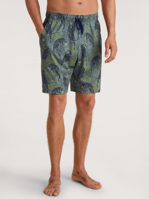 Summer Outfits Calida Rmx Sleep Holiday Bermudas Homme Vert | RK6854019