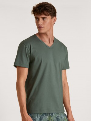 Summer Outfits Calida Rmx Sleep Holiday T-shirt Homme Vert | YN7504219