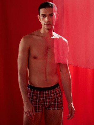 Vêtement De Nuit Calida Family & Friends Boxer Brief Homme Rouge | DF8437012